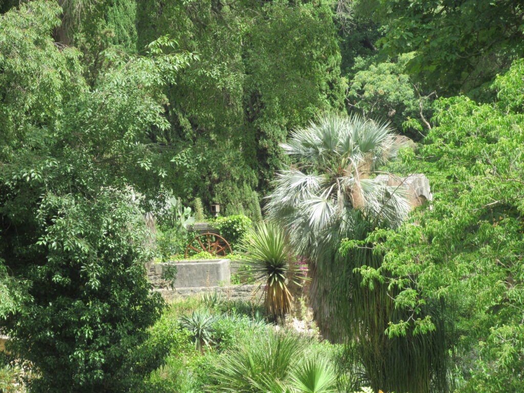 Ein Blick in den botanischen Garten
